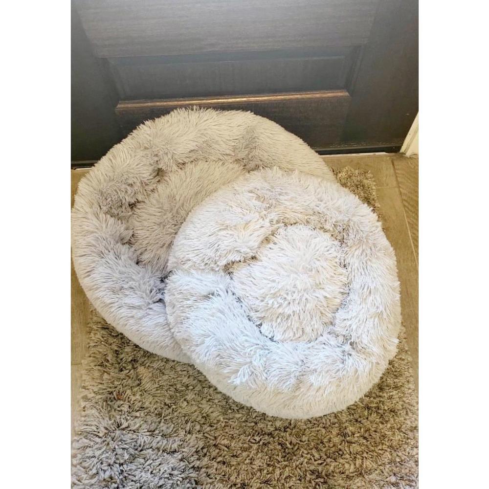 Two pet beds
